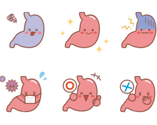 胃