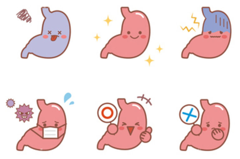 胃